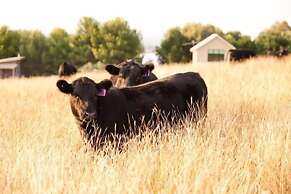 Hillview Farmstay