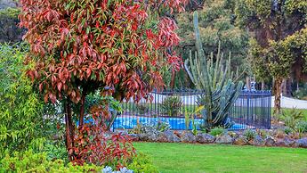 Azalea Motel
