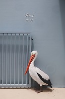 Blue Water Motel