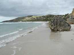 Waves and Wildlife