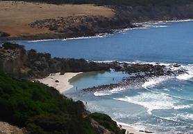 Waves and Wildlife