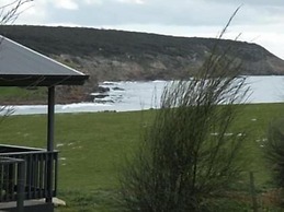 Waves and Wildlife