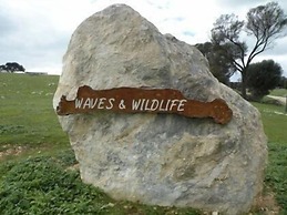Waves and Wildlife