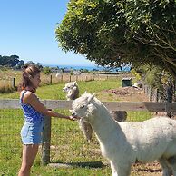 Awatea Country B&B