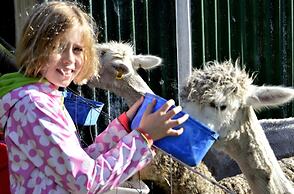 Diamond Forest Farm Stay