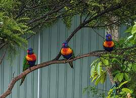 Batemans Bay Holiday Park - Hostel