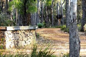 Forest Rise
