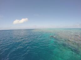 Island View