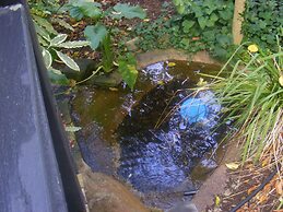 Weeroona