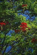 Discovery Parks - Carnarvon