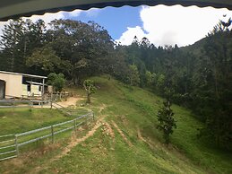 Ingleside Stud Farm