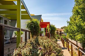 Longview Vineyard