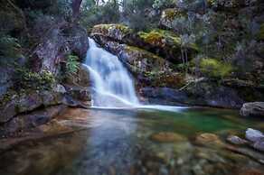 Discovery Parks - Mount Buffalo