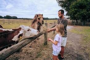 Discovery Parks - Margaret River