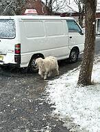 Carinya Village Jindabyne