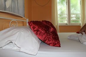 Civic Guest House - Hostel