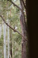 Bay and Bush, Jervis Bay