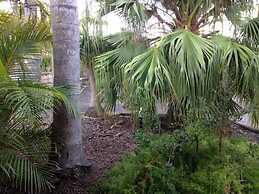 Forster Palms Motel