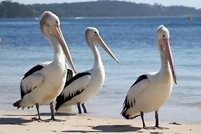 Pelican Sands Scamander