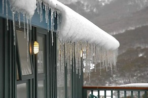 Alpenhorn
