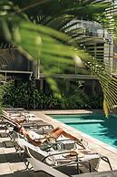 Jacaranda Noosa