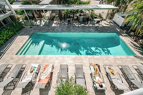Jacaranda Noosa