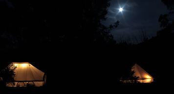 Zeehan Bush Camp