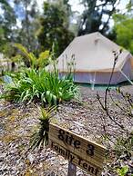 Zeehan Bush Camp