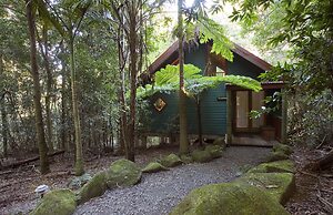 Springbrook Lyrebird Retreat