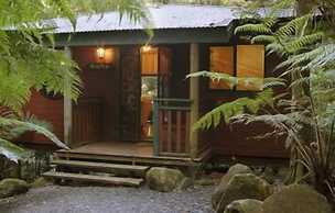 Springbrook Lyrebird Retreat