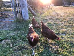 Bryn Glas Farm Stay