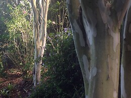 Wharepuke Subtropical Accommodation