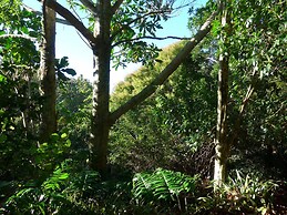 Wharepuke Subtropical Accommodation