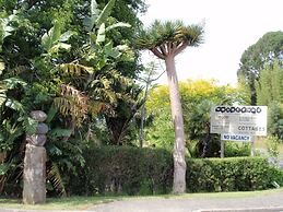 Wharepuke Subtropical Accommodation