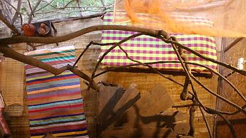 Saraya Art Cafe B&B