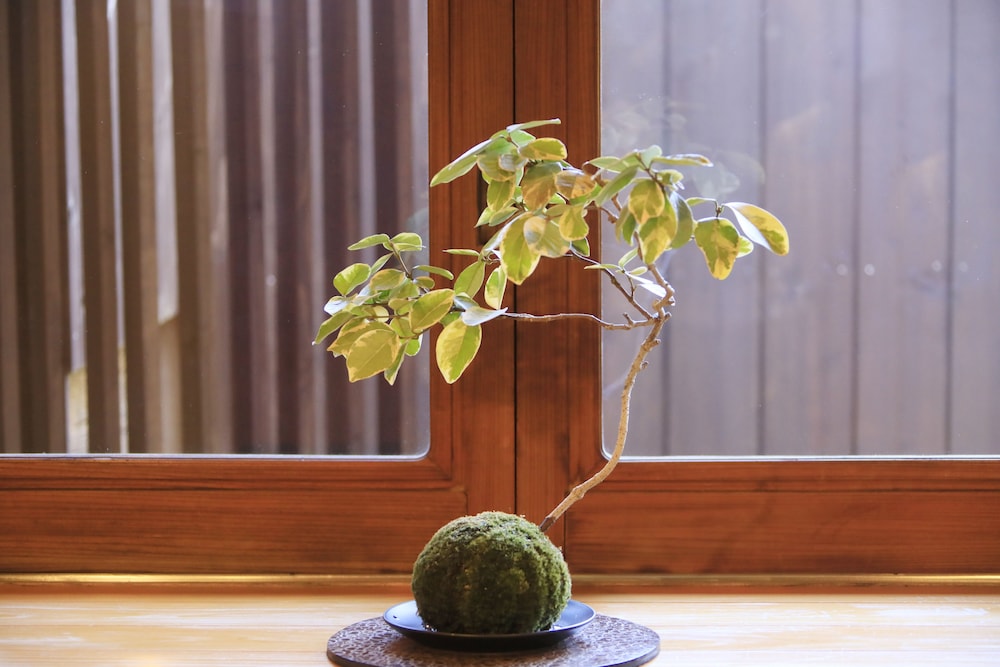 Fuji Onsenji Yumedono