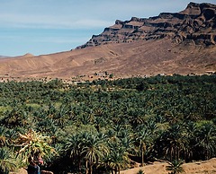 Camp Adounia