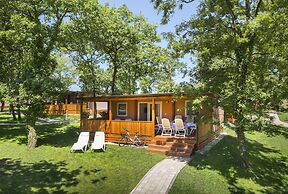 Maistra Camping Valkanela Mobile homes
