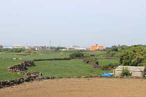 Jeju Feel House