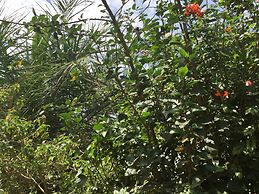 Malakai Eco Lodge