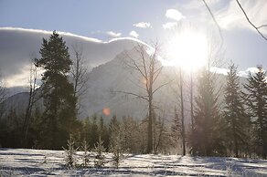 Mountain View Cabins