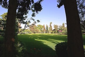 La Gazelle d'Or
