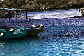Iguana Crossing Boutique Hotel