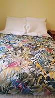 Aupic Paradise