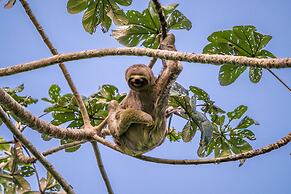 Pacaya Samiria Amazon Lodge