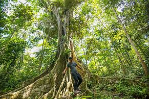 Pacaya Samiria Amazon Lodge