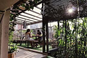 Rain Forest Hotel