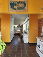 JEJU Doldam B&B