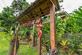 Ara Ambigua Lodge