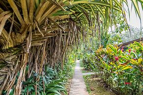 Ara Ambigua Lodge